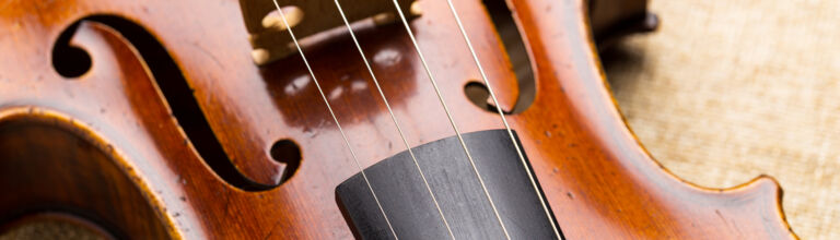 Western musical instrument, violin