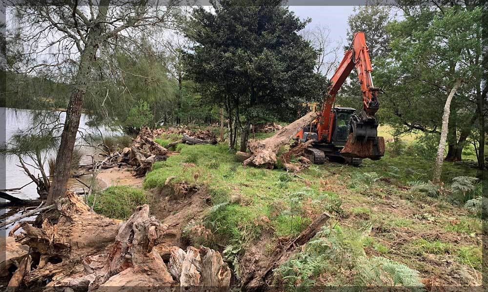 Making the Shores beautiful again. Save wood for Firewood.