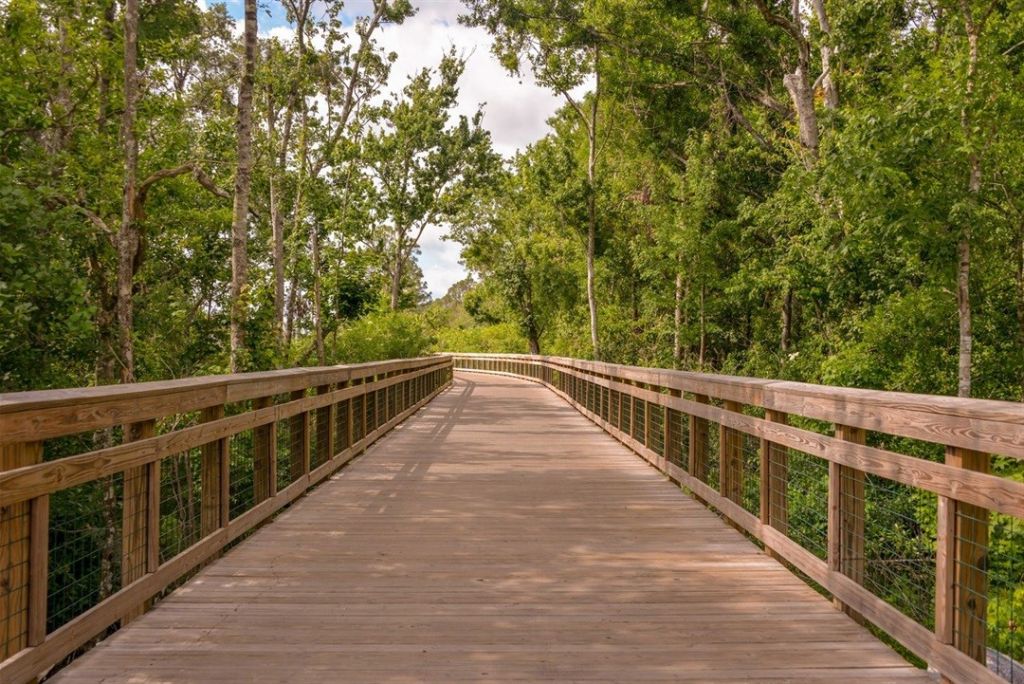 Boardwalk