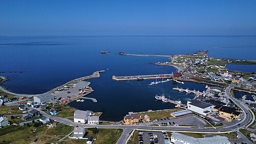 Bonavista NFD