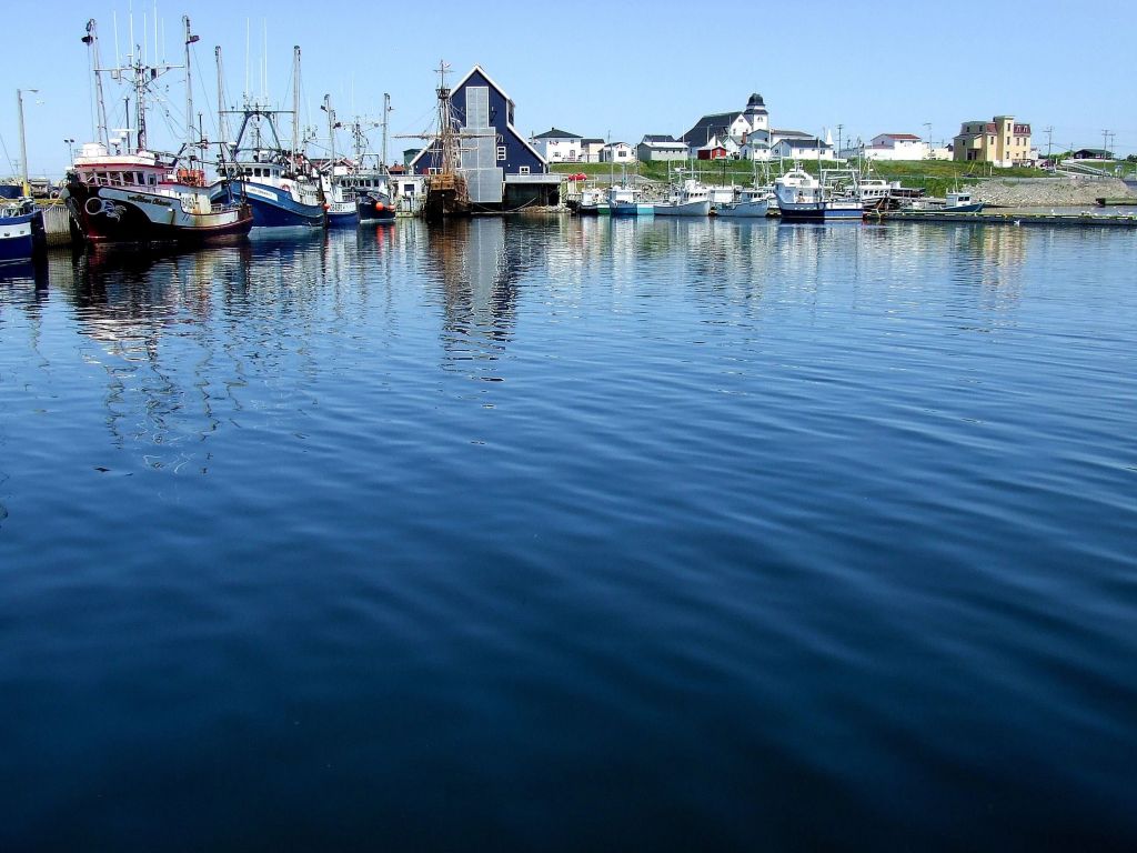 bONAVISTA 2